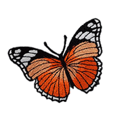 BUTTERFLY